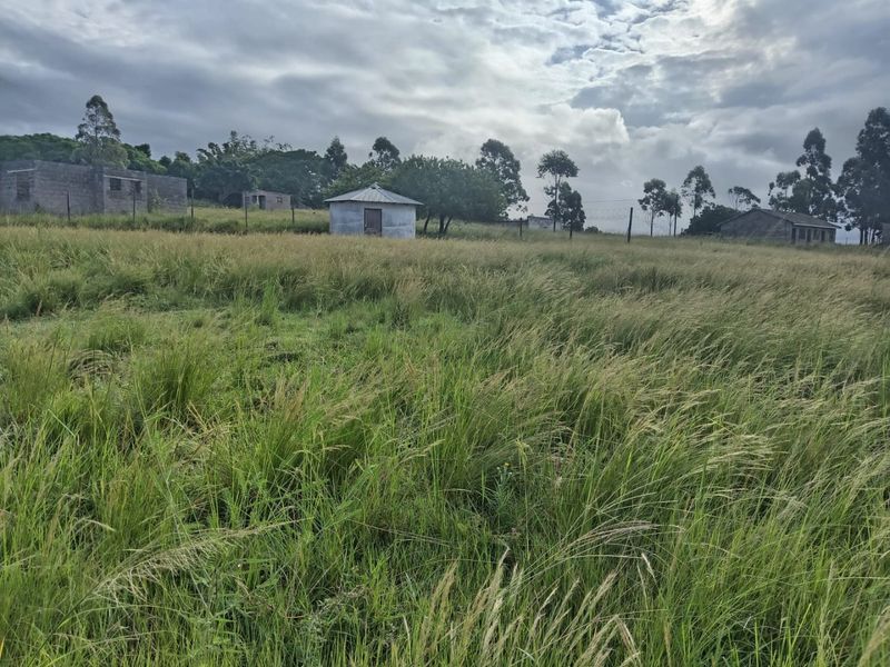 0 Bed Vacant Land in Ongoye, Empangeni Rural for Sale - Photo 6