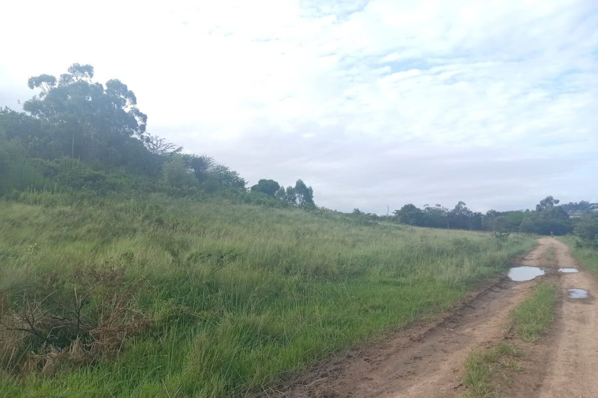 0 Bed Vacant Land in Ongoye, Empangeni Rural for Sale - Photo 4