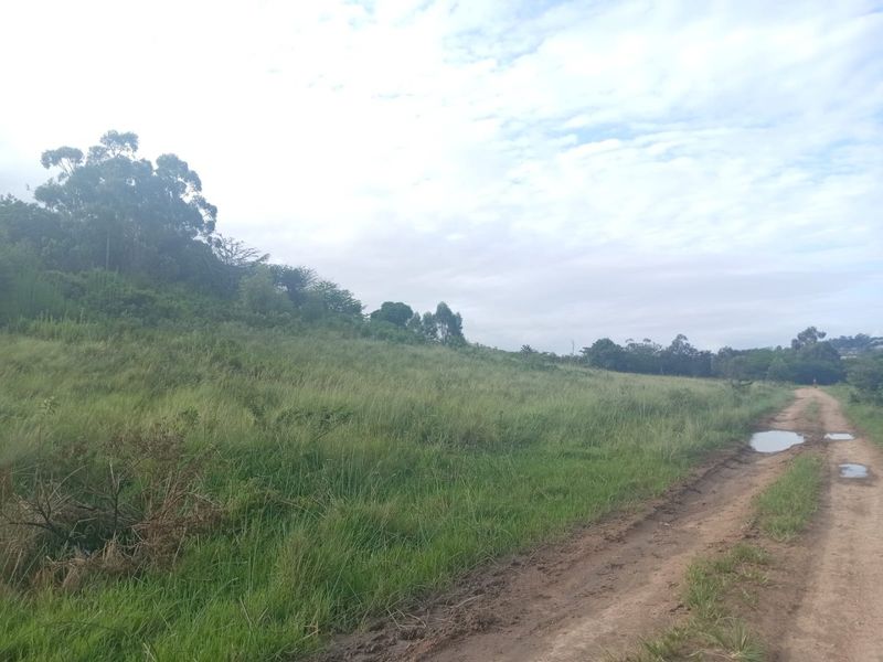 0 Bed Vacant Land in Ongoye, Empangeni Rural for Sale - Photo 4
