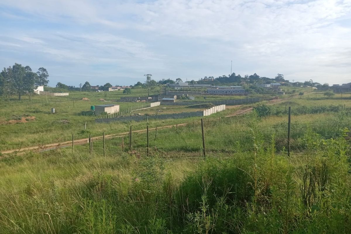 0 Bed Vacant Land in Ongoye, Empangeni Rural for Sale - Photo 5