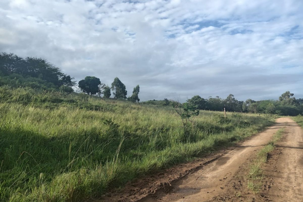 0 Bed Vacant Land in Ongoye, Empangeni Rural for Sale - Photo 2