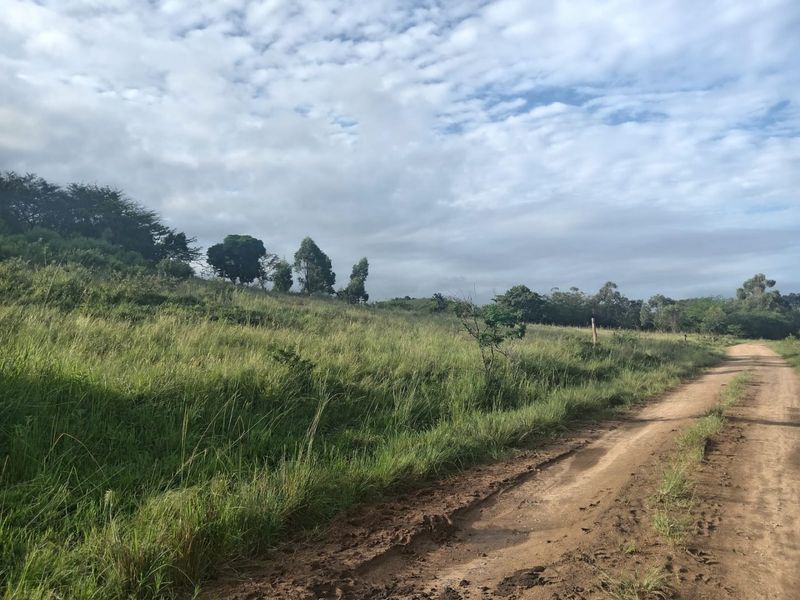 0 Bed Vacant Land in Ongoye, Empangeni Rural for Sale - Photo 2