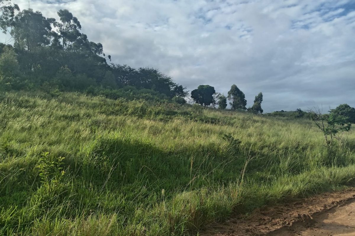 0 Bed Vacant Land in Ongoye, Empangeni Rural for Sale - Photo 3