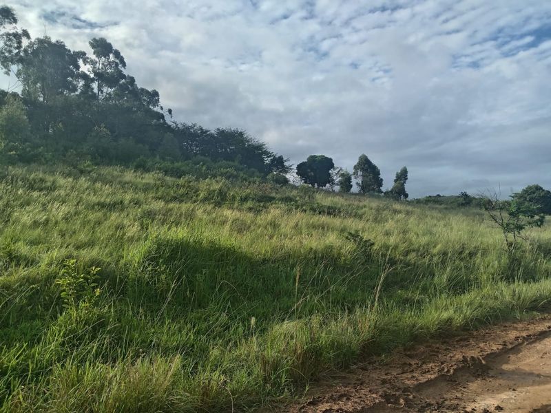 0 Bed Vacant Land in Ongoye, Empangeni Rural for Sale - Photo 3