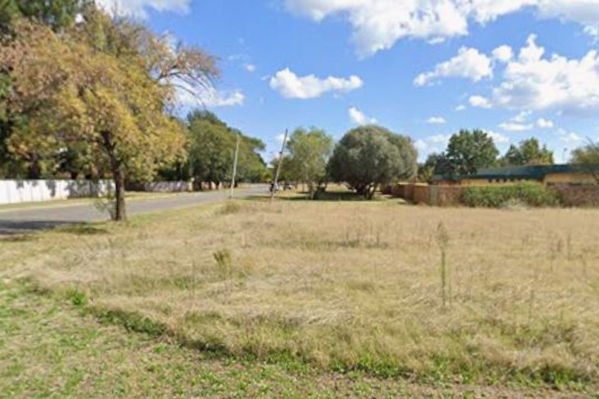 A street-level view of a vacant residential plot featuring established trees and boundary walling, situated along a paved road.