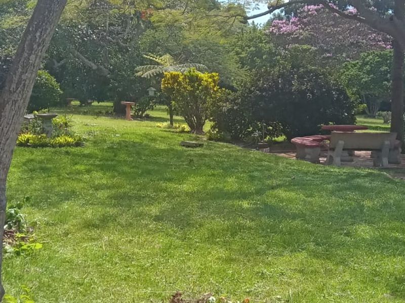 A lush, well-maintained garden area featuring mature trees, expansive lawn space, and established garden beds.