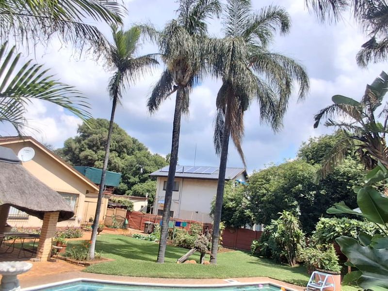 A backyard pool area featuring a thatched lapa, established palm trees, and a well-maintained lawn with solar panels visible on the roof.