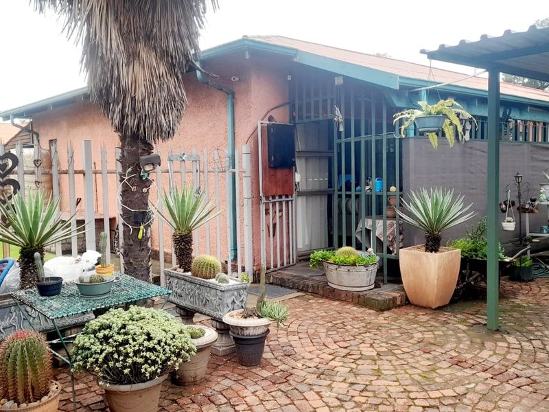 Semi attached – with newly fiber swimming pool - Photo 4