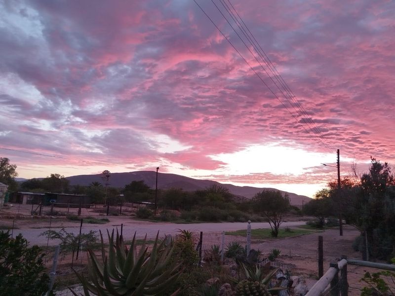 Charming Karoo Retreat with Income Potential – Steytlerville  - Photo 2