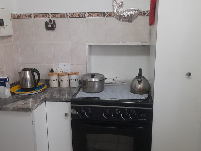 Newly Renovated Apartment – Ground Floor  - Photo 10