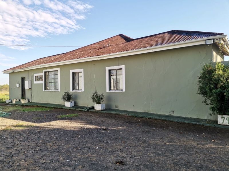 Spacious 4-Bedroom House for Sale  on a A Small holdin ,in Lakeview - Photo 3