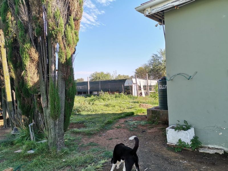 Spacious 4-Bedroom House for Sale  on a A Small holdin ,in Lakeview - Photo 7