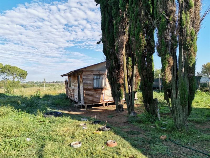 Spacious 4-Bedroom House for Sale  on a A Small holdin ,in Lakeview - Photo 6