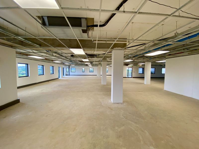 Brand New P-Grade Development - Photo 8