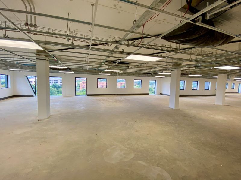 Brand New P-Grade Development - Photo 7