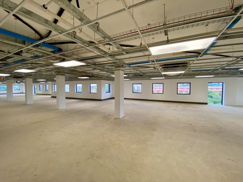 Brand New P-Grade Development - Photo 5