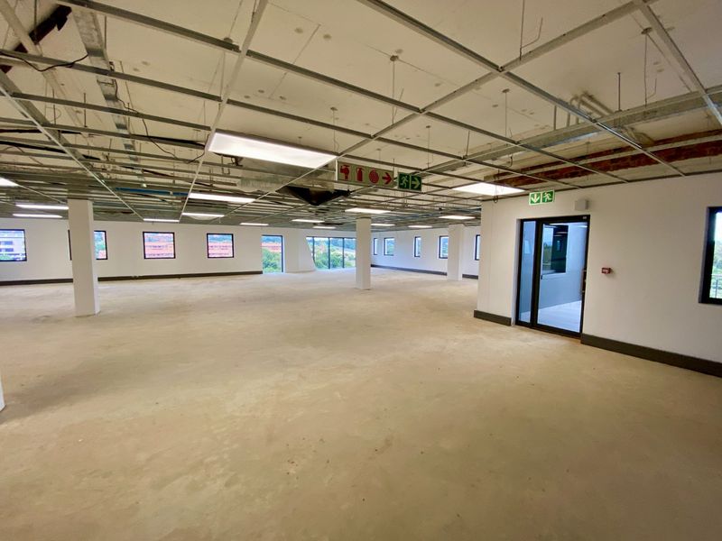 Brand New P-Grade Development - Photo 1