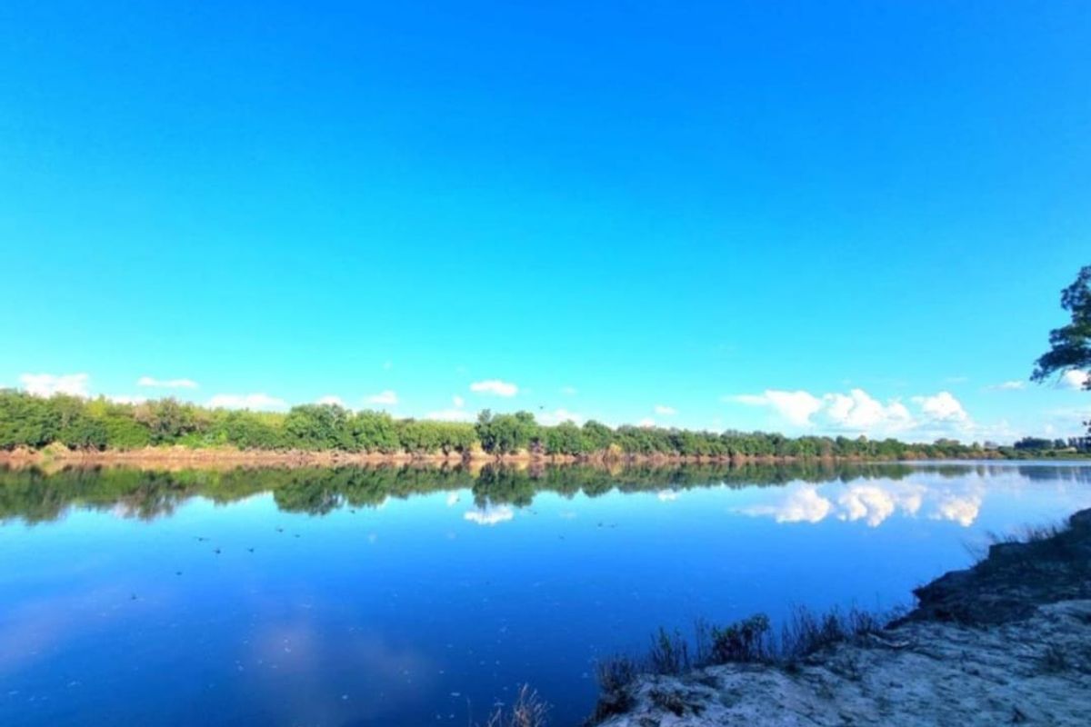 58 Ha Farm - Photo 3