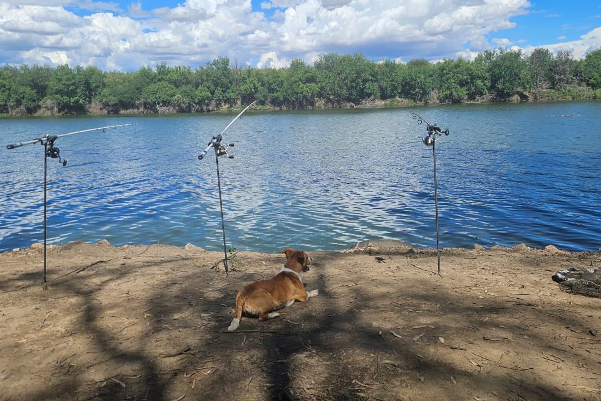 58 Ha Farm - Photo 2