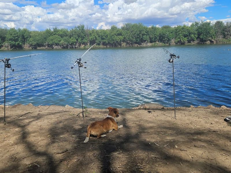 58 Ha Farm - Photo 2