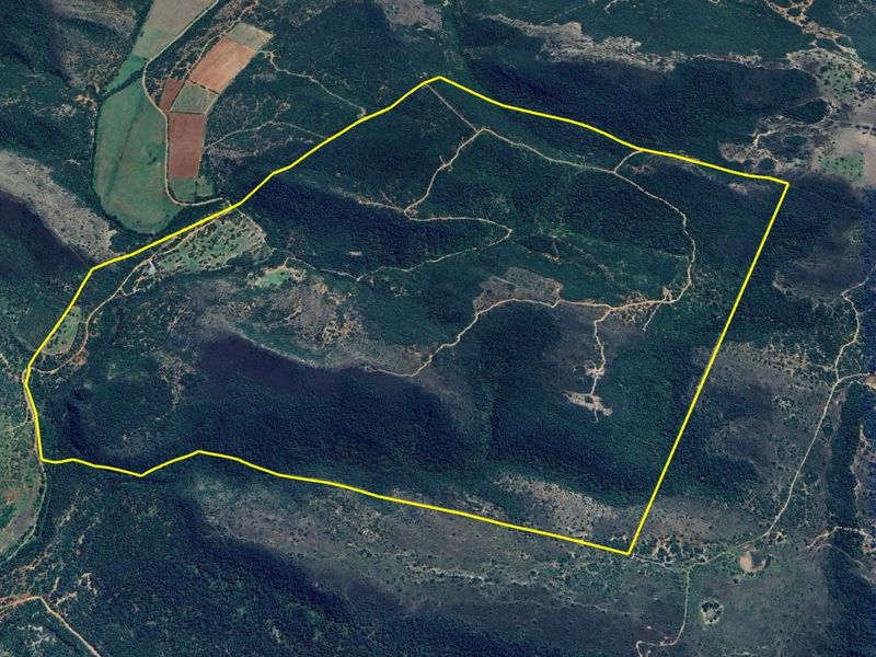 241Ha Off-Grid Game Farm Bordering Addo Elephant National Park – An Exclusive Game Farm Sanctuary - Photo 2