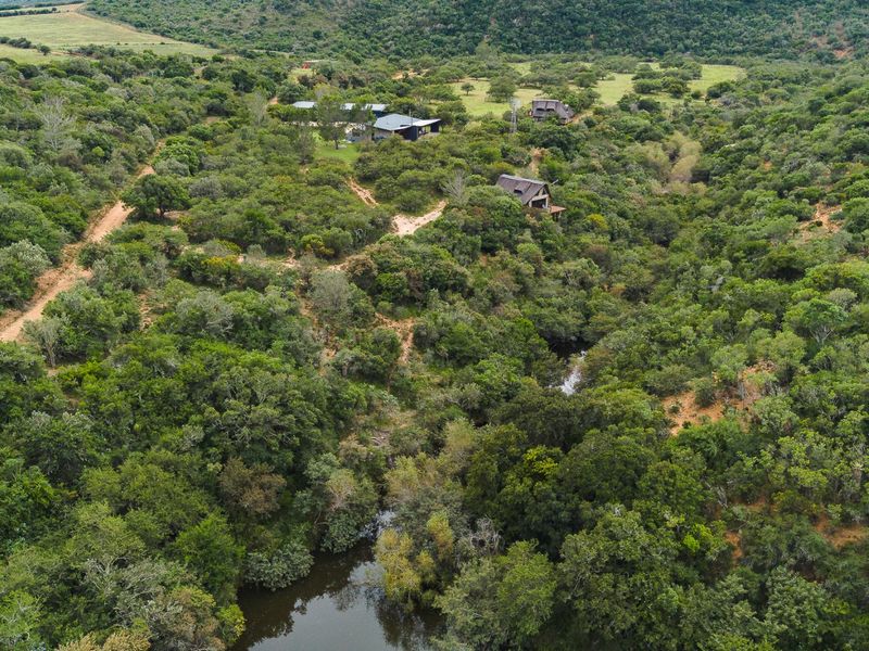 241Ha Off-Grid Game Farm Bordering Addo Elephant National Park – An Exclusive Game Farm Sanctuary - Photo 7