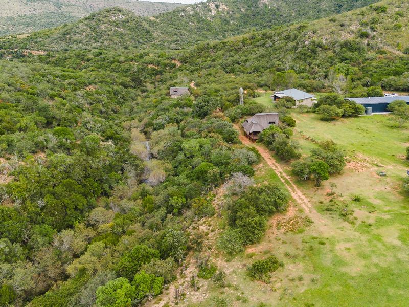 241Ha Off-Grid Game Farm Bordering Addo Elephant National Park – An Exclusive Game Farm Sanctuary - Photo 8