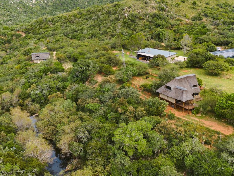 241Ha Off-Grid Game Farm Bordering Addo Elephant National Park – An Exclusive Game Farm Sanctuary - Photo 5