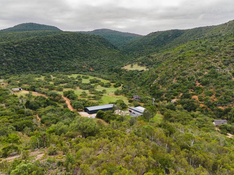 241Ha Off-Grid Game Farm Bordering Addo Elephant National Park – An Exclusive Game Farm Sanctuary - Photo 1