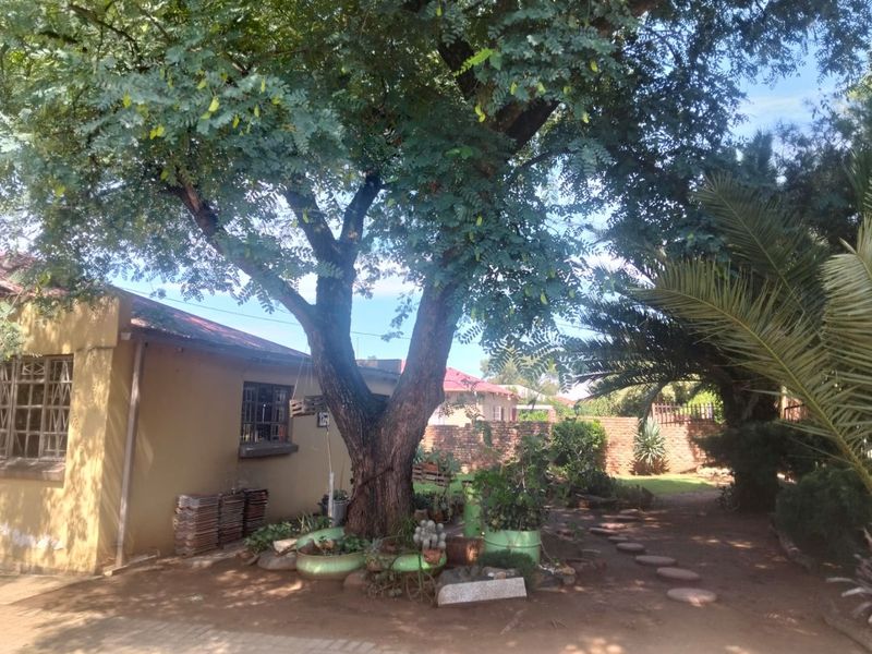 Lovely 3 bedroom family home for sale in Hilton, Bloemfontein - Photo 3