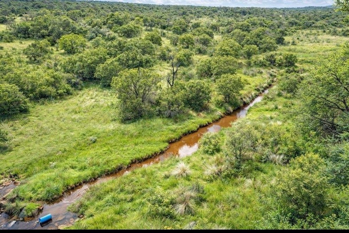 446 Hectare Bushveld Cattle Farm for Sale – Waterberg Region, Limpopo - Photo 2