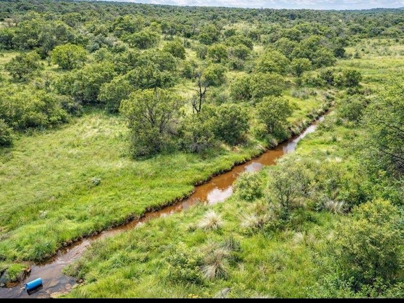 446 Hectare Bushveld Cattle Farm for Sale – Waterberg Region, Limpopo - Photo 2