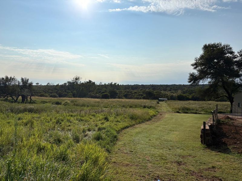 446 Hectare Bushveld Cattle Farm for Sale – Waterberg Region, Limpopo - Photo 6