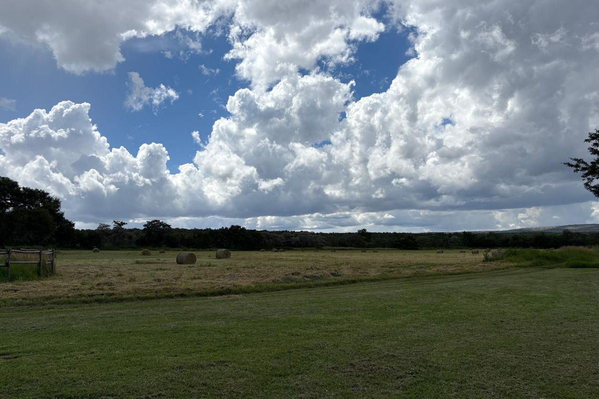 446 Hectare Bushveld Cattle Farm for Sale – Waterberg Region, Limpopo - Photo 5