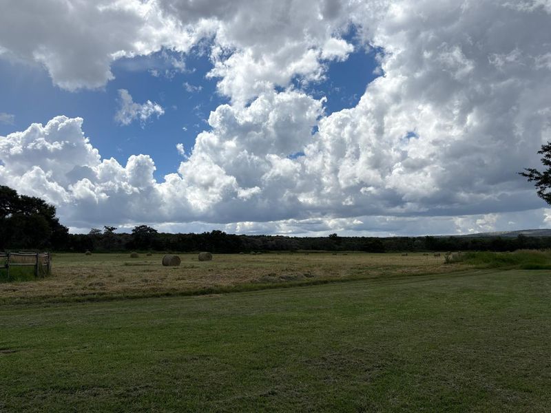 446 Hectare Bushveld Cattle Farm for Sale – Waterberg Region, Limpopo - Photo 5
