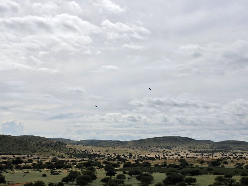 Game and Lifestyle Farm for Sale – Northern Cape - Photo 10