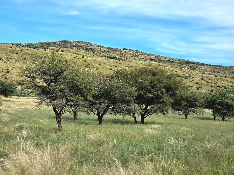 Game and Lifestyle Farm for Sale – Northern Cape - Photo 9