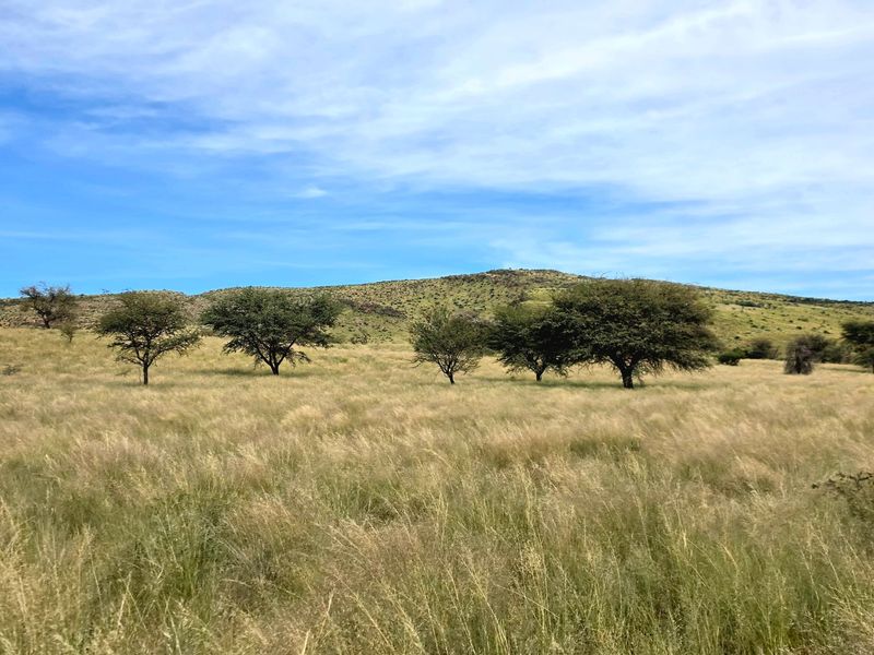 Game and Lifestyle Farm for Sale – Northern Cape - Photo 8