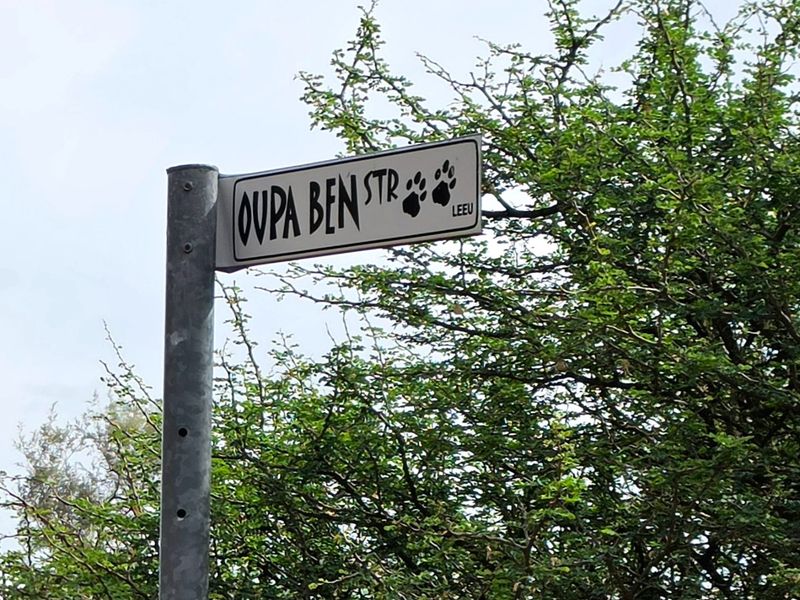 Game and Lifestyle Farm for Sale – Northern Cape - Photo 6