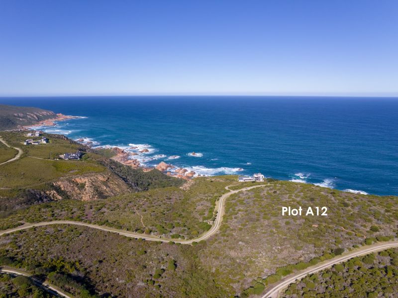 A Prime & Spectacular Coastal Cliff Plot - Photo 10