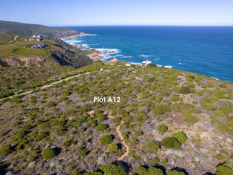 A Prime & Spectacular Coastal Cliff Plot - Photo 9