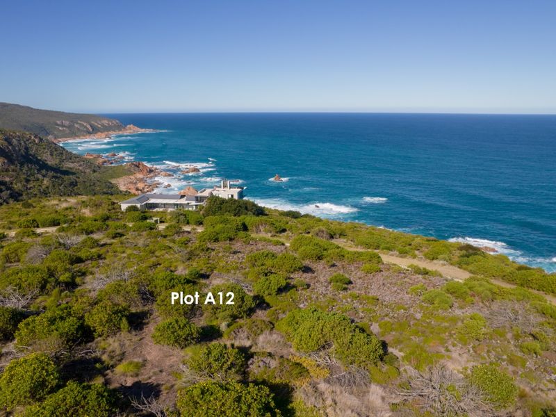 A Prime & Spectacular Coastal Cliff Plot - Photo 1