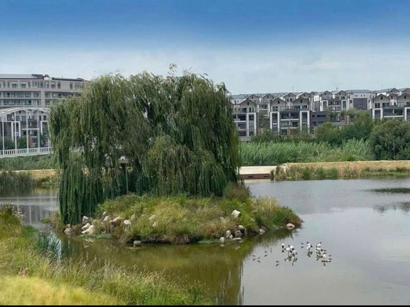 Modern 2Bedroom Furnished Apartment with Lake Views Kikuyu Waterfall, Midrand - Photo 10