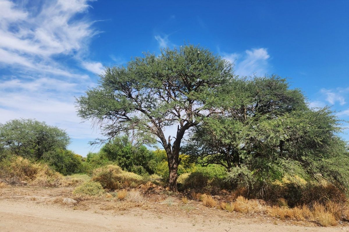 Vacant Residential Erf for Sale – Kanoneiland, Near Upington - Photo 4