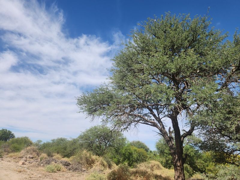 Vacant Residential Erf for Sale – Kanoneiland, Near Upington - Photo 10