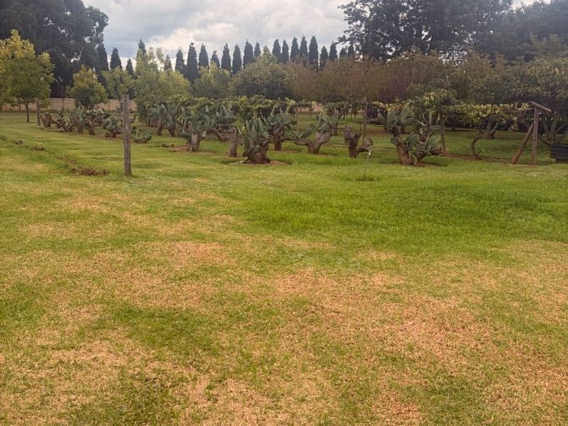 LOVELY 4-BEDROOM HOUSE TO RENT – WITH OPTION TO BUY! ??  Looking for space, security, and versatility? This lovely 4-bedroom home is situated on a plot and offers the perfect blend of comfort, safety, and extra value!  ? Property Features: 	•	4 Spacious bedrooms 	•	Very neat and well-maintained home 	•	Situated on a plot with plenty of space 	•	Very safe and secure 	•	Workshop on the property – ideal for storage, business use, hobbies, or extra workspace 	•	Peaceful and practical living environment  ?? BONUS: Option to buy available! Perfect for tenants who may want to make this beautiful property their forever home in the future.  ?? Ideal for a family looking for space, security, and added convenience.  ?? Don’t miss out on this unique opportunity – contact us today to arrange a viewing! - Photo 7