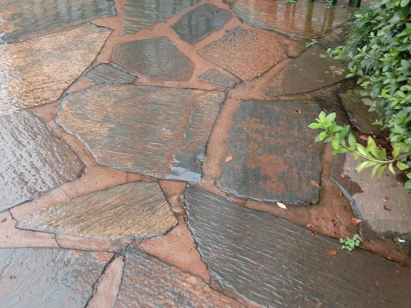 2 Bedroom Apartment in Clarendon - Photo 6