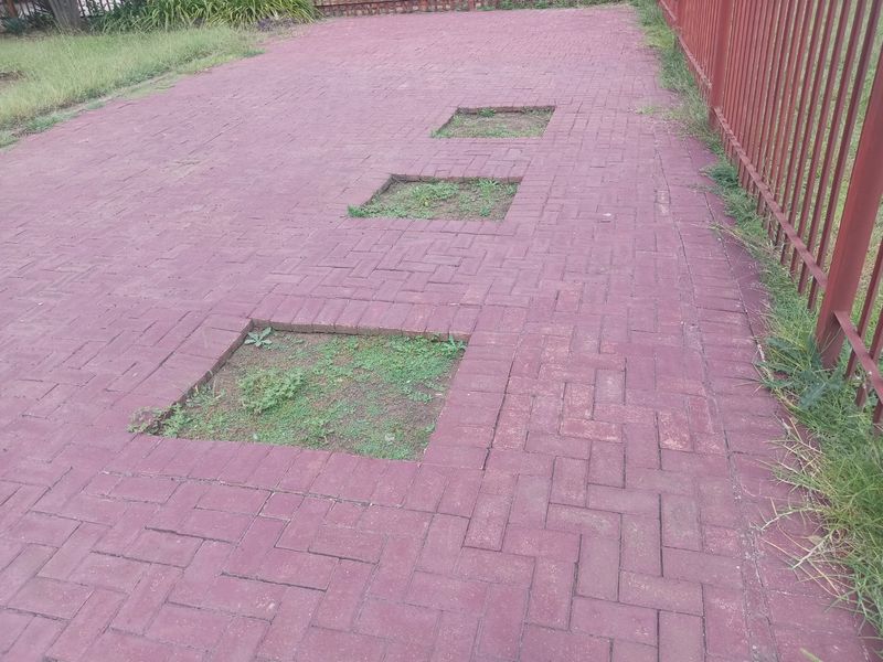 GREAT DEAL NOT TO BE MISSED!!  - Photo 6