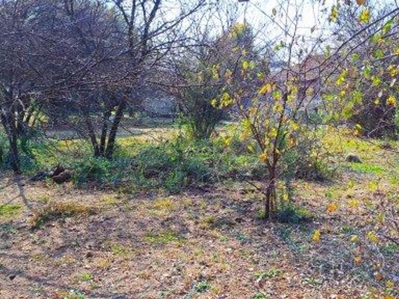 893 m2 Stand for sale in Birdwood - Photo 4