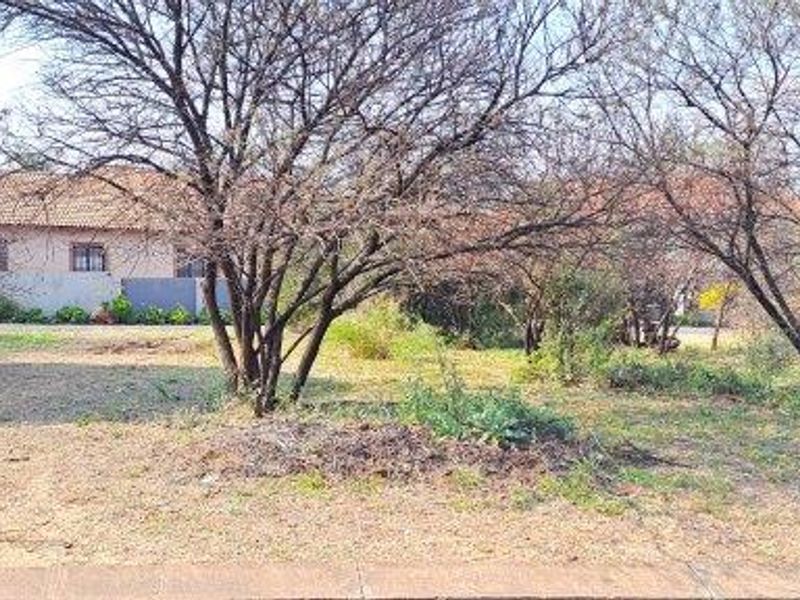 893 m2 Stand for sale in Birdwood - Photo 5